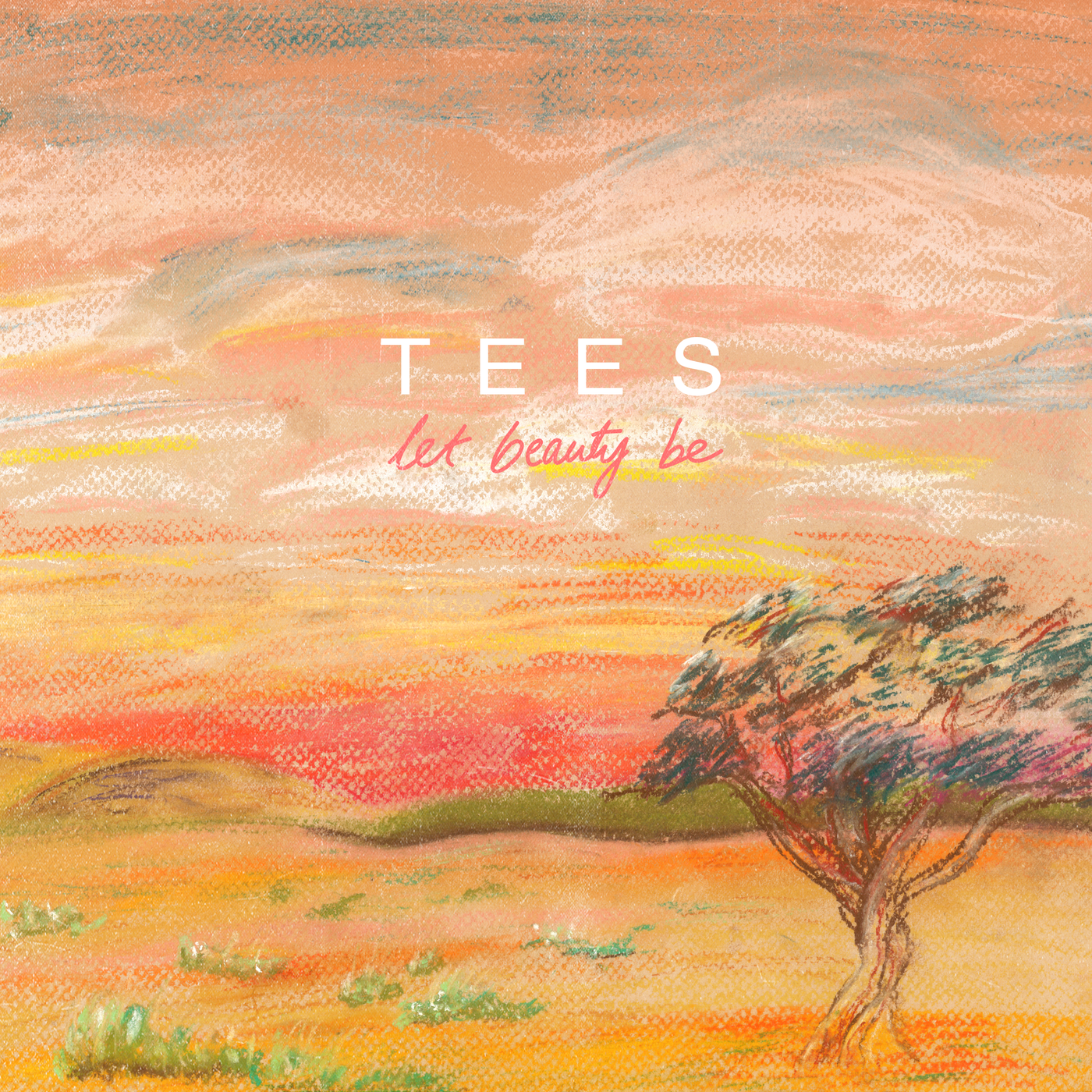 TEES release new single 'Let Beauty Be'